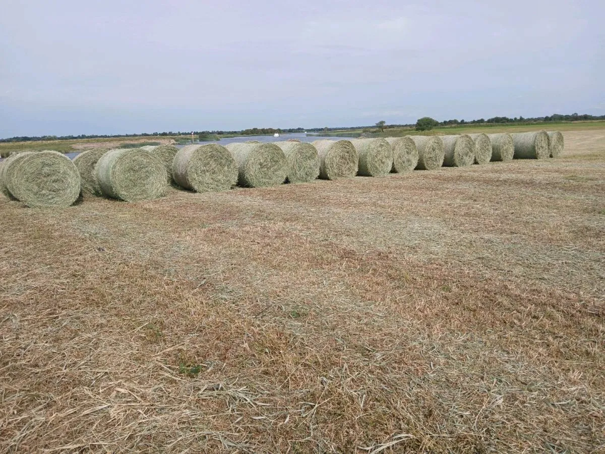Hay Bales - Image 1