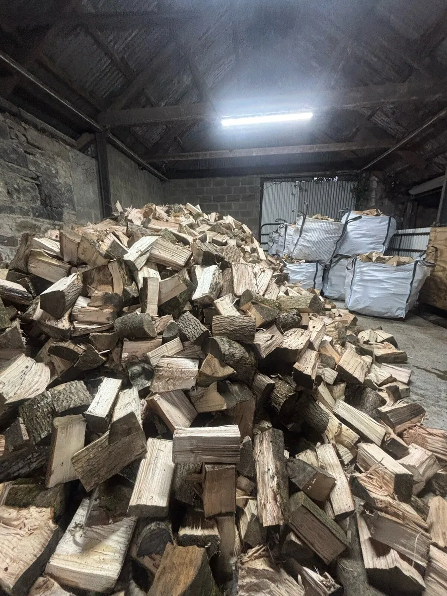 Firewood - Image 3