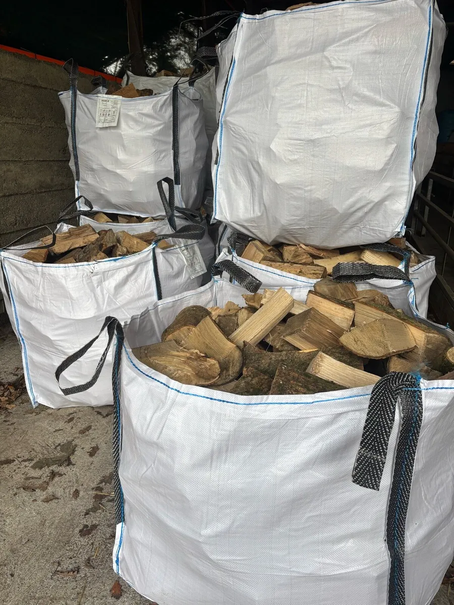 Firewood - Image 1