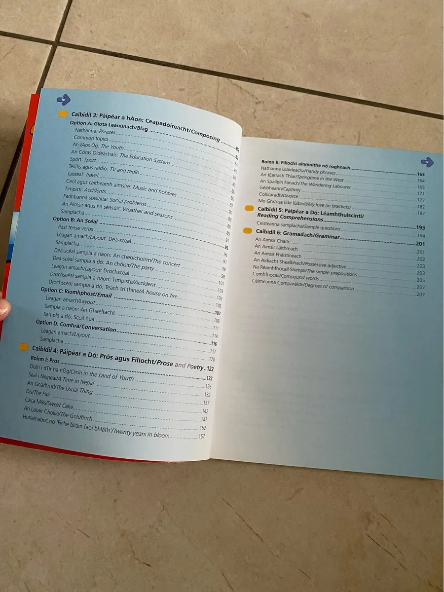 Less Stress… Irish Revision Learning Cert Ordinary - Image 4
