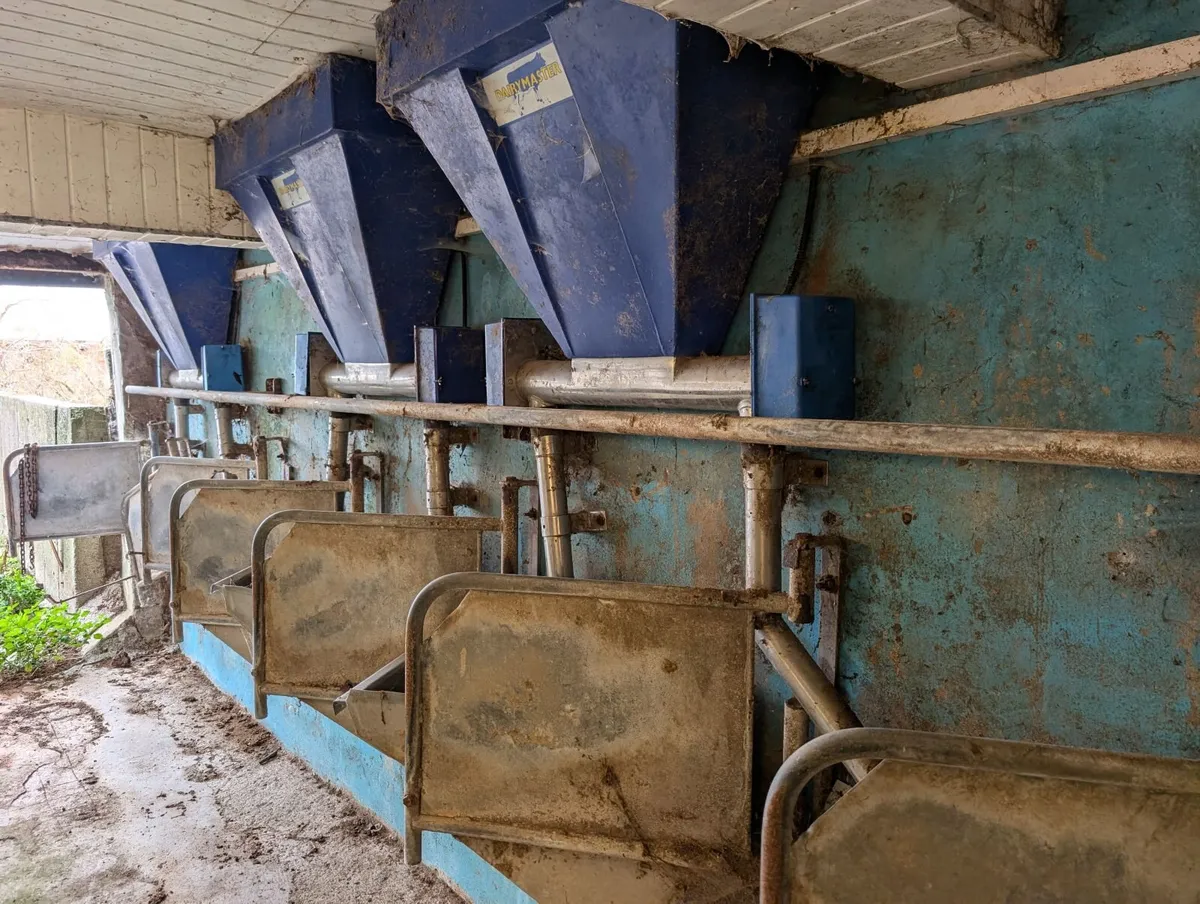 Dairy Master Feeders - Image 1