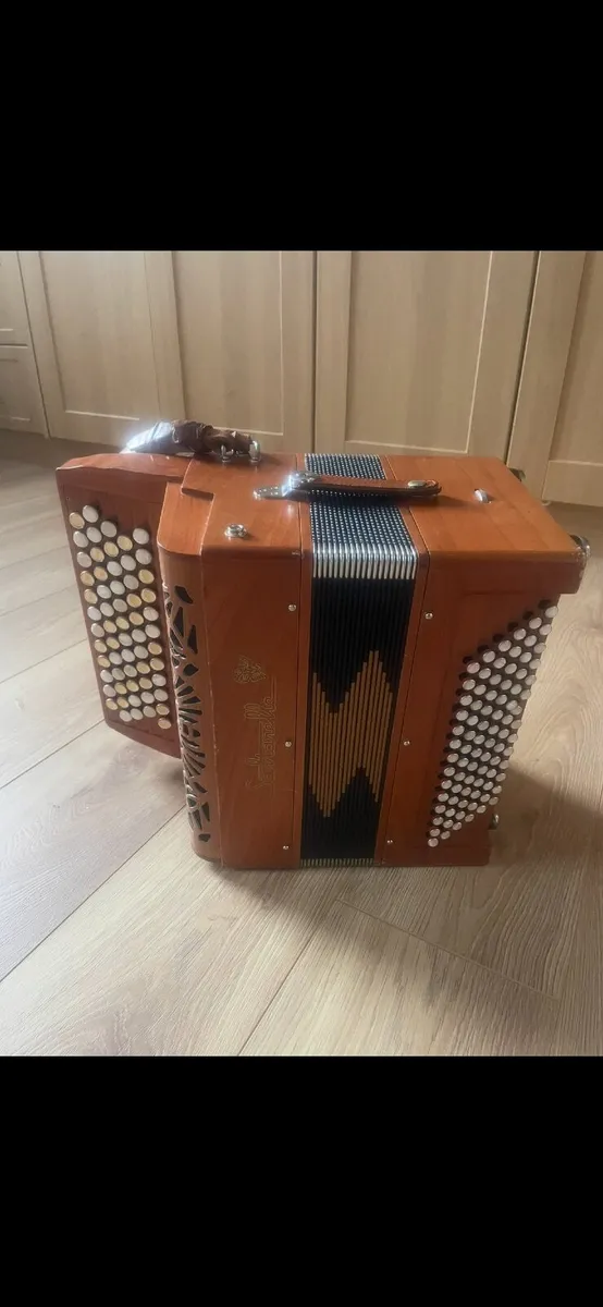 Accordion - Image 4