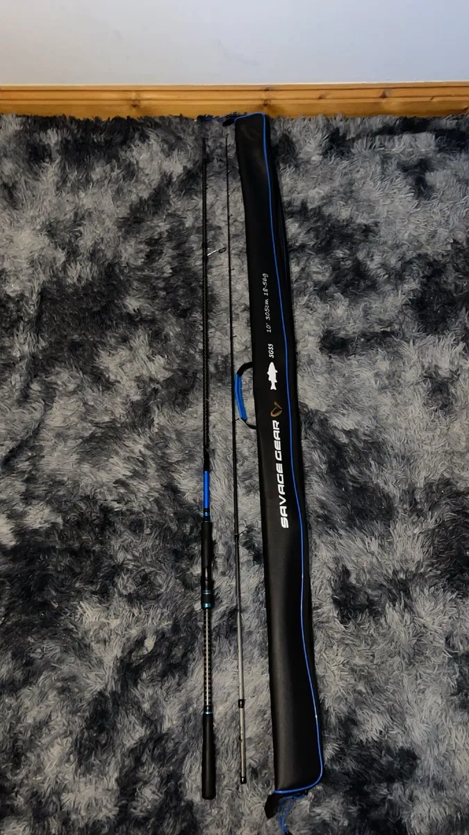 Fishing rod - Image 1