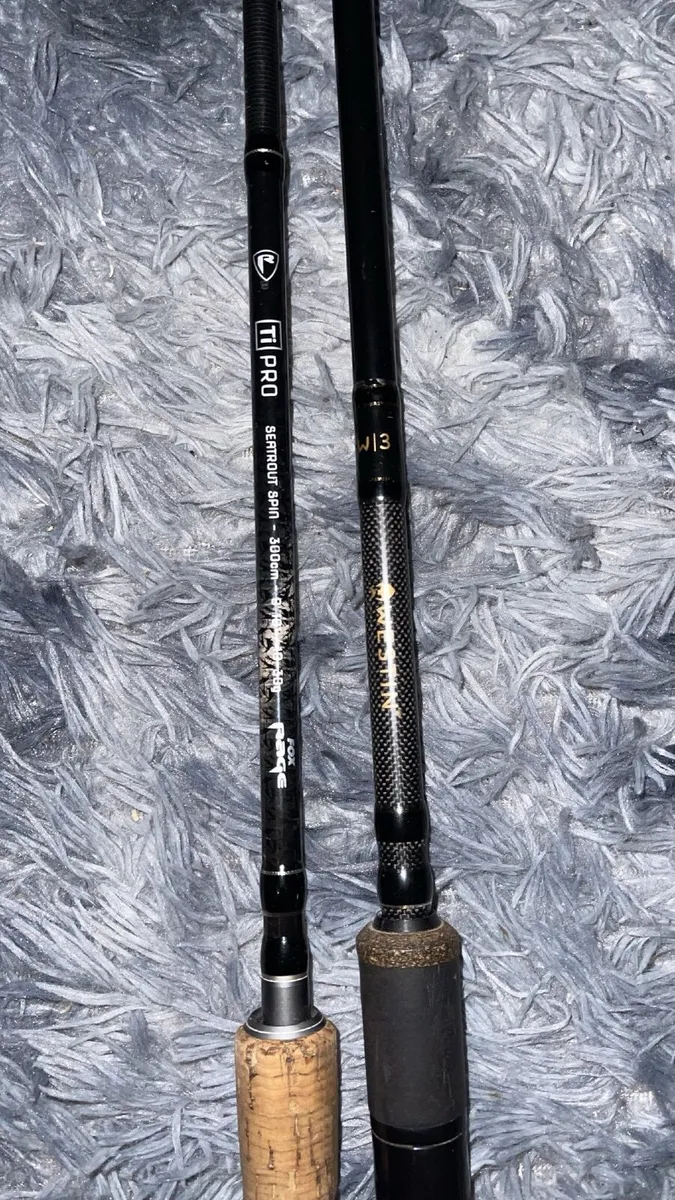 Fishing rod - Image 1