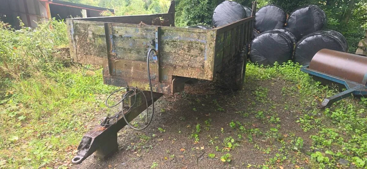 Tipping trailer - Image 1