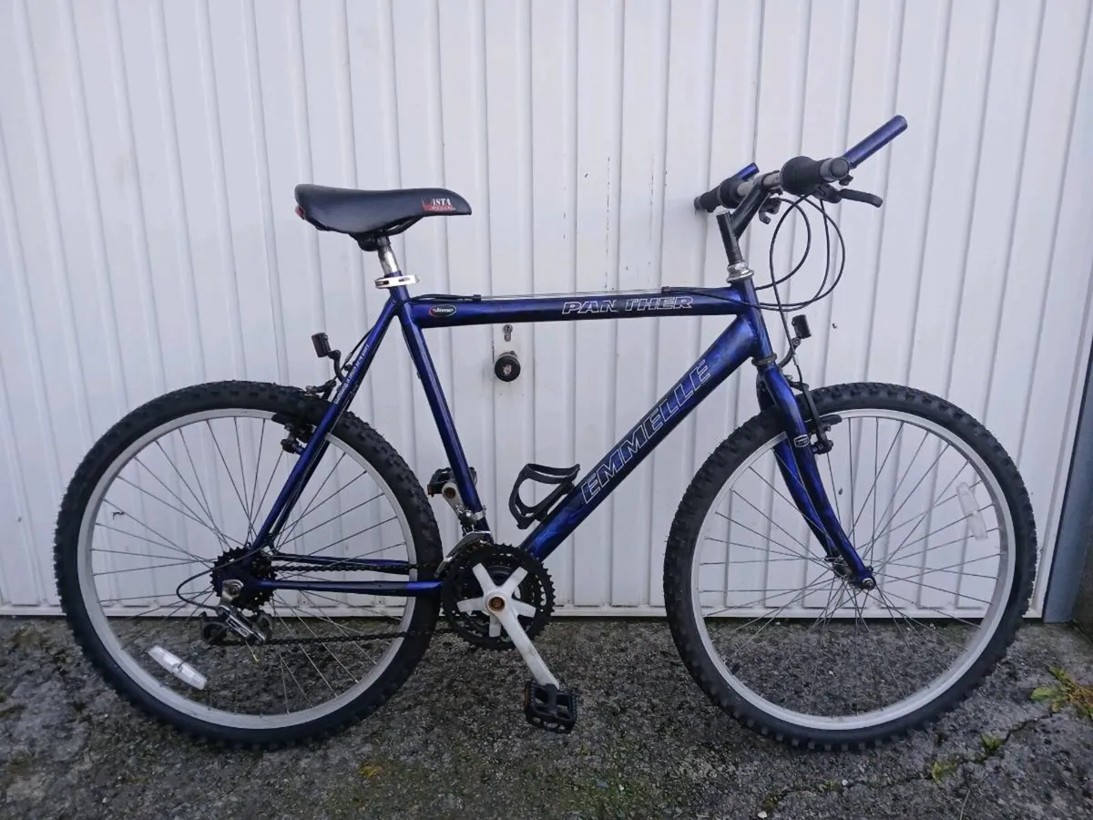 All sizes and types of bikes - Image 1
