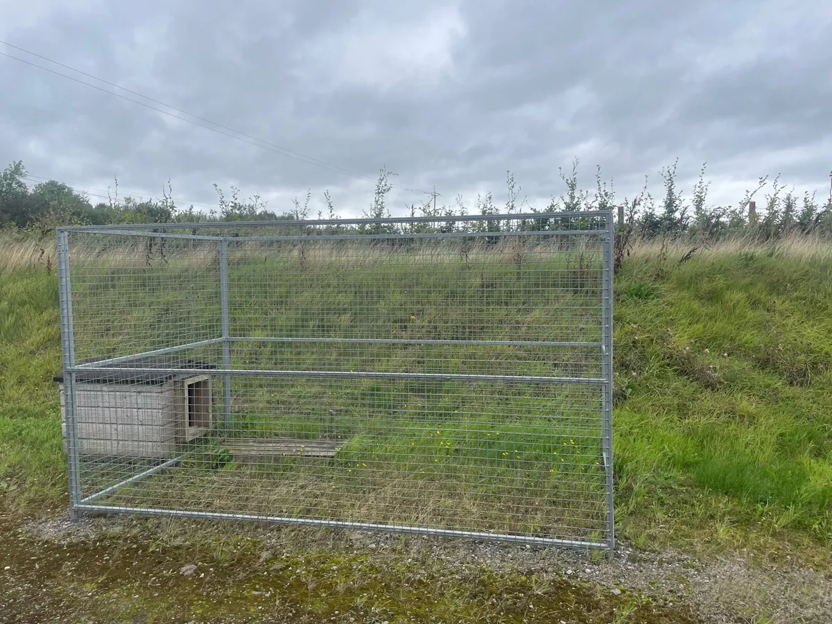 Dog kennel and run - Image 1