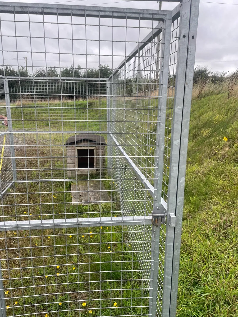 Dog kennel and run - Image 2