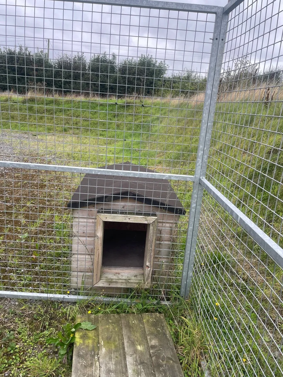 Dog kennel and run - Image 3