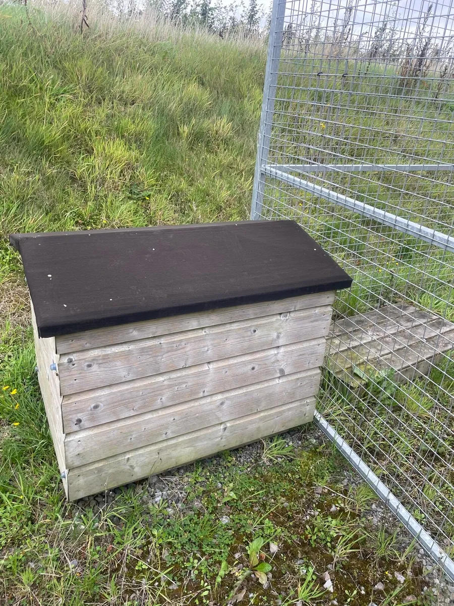 Dog kennel and run - Image 4