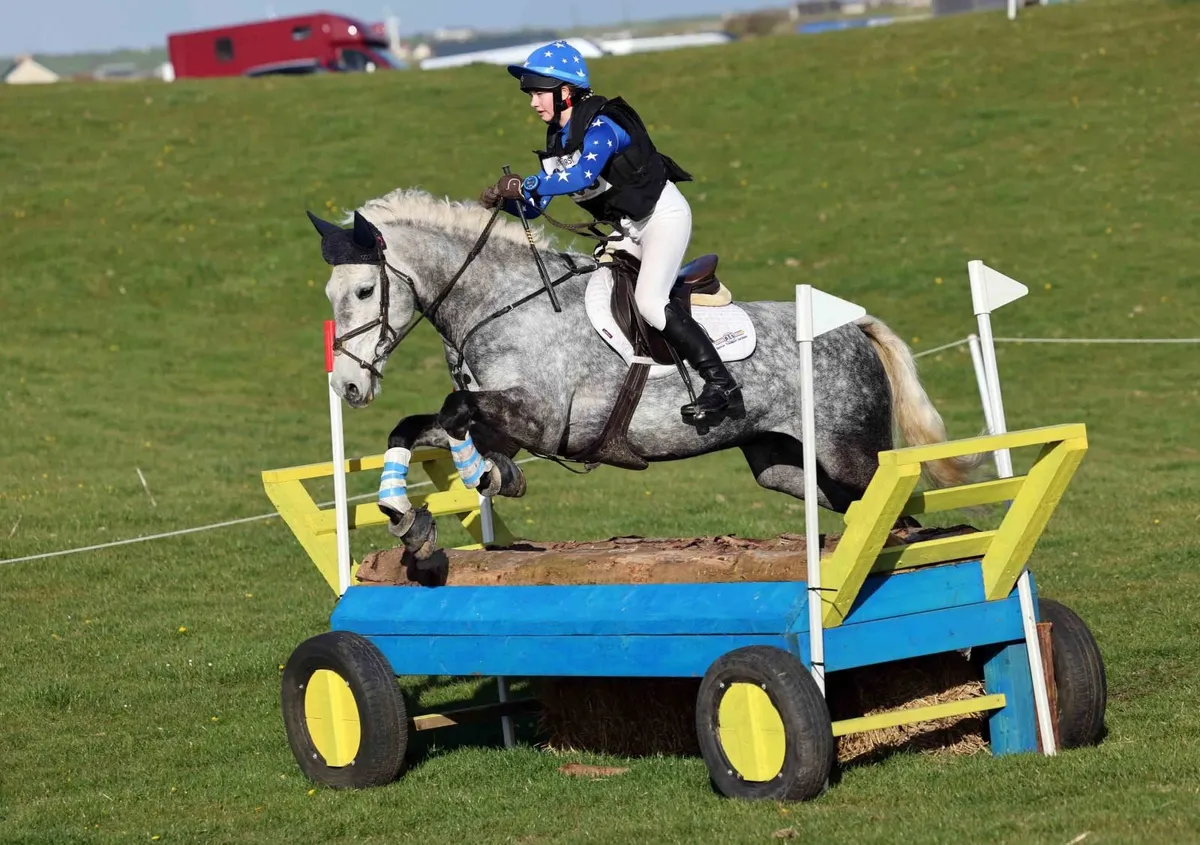 Eventing / Working Hunter 9yr old Gelding - Image 1