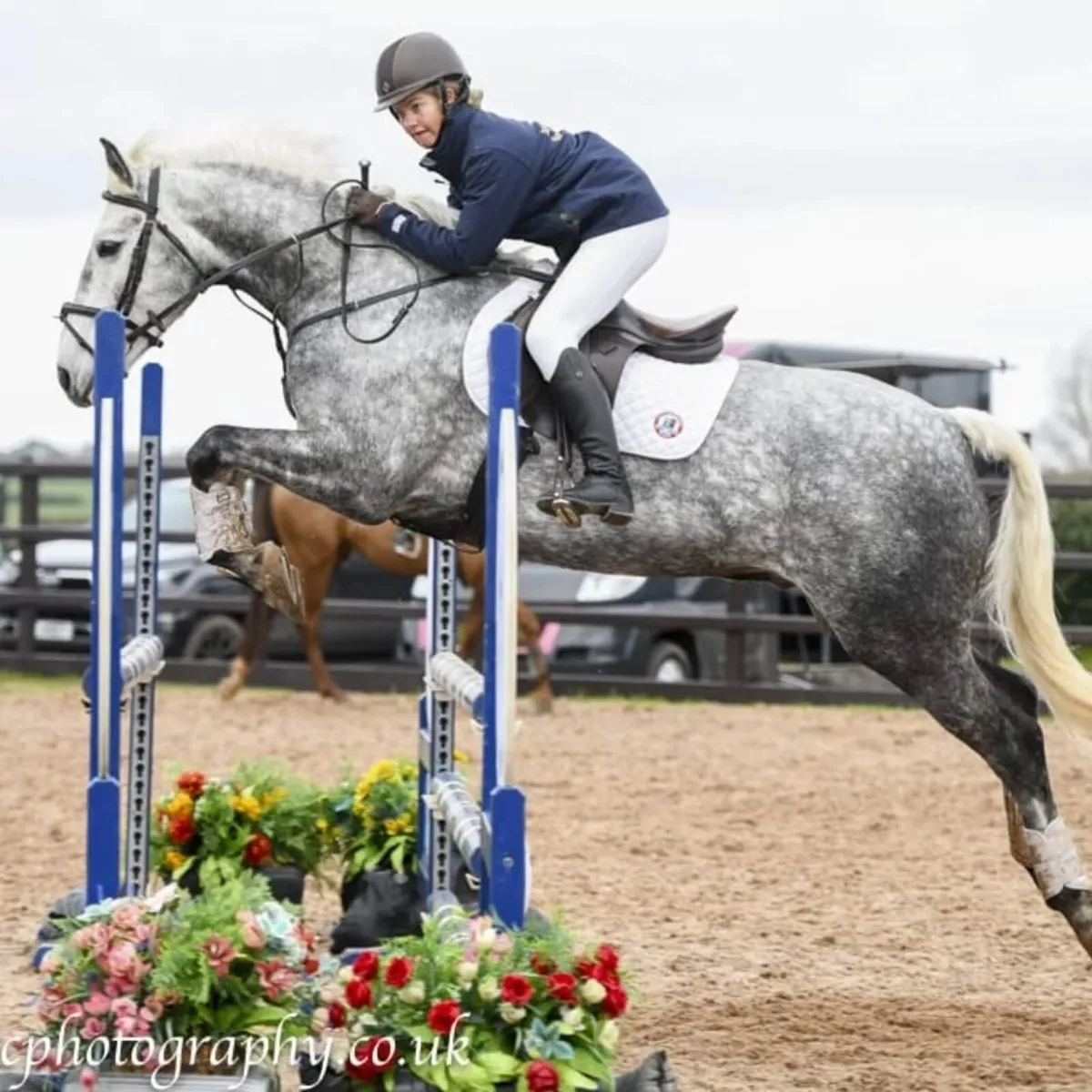Eventing / Working Hunter 9yr old Gelding - Image 3