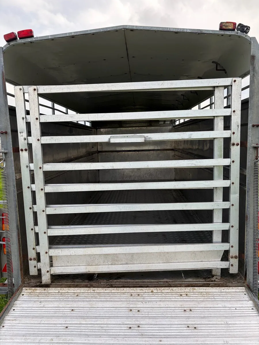 14 Foot Hudson - Image 4