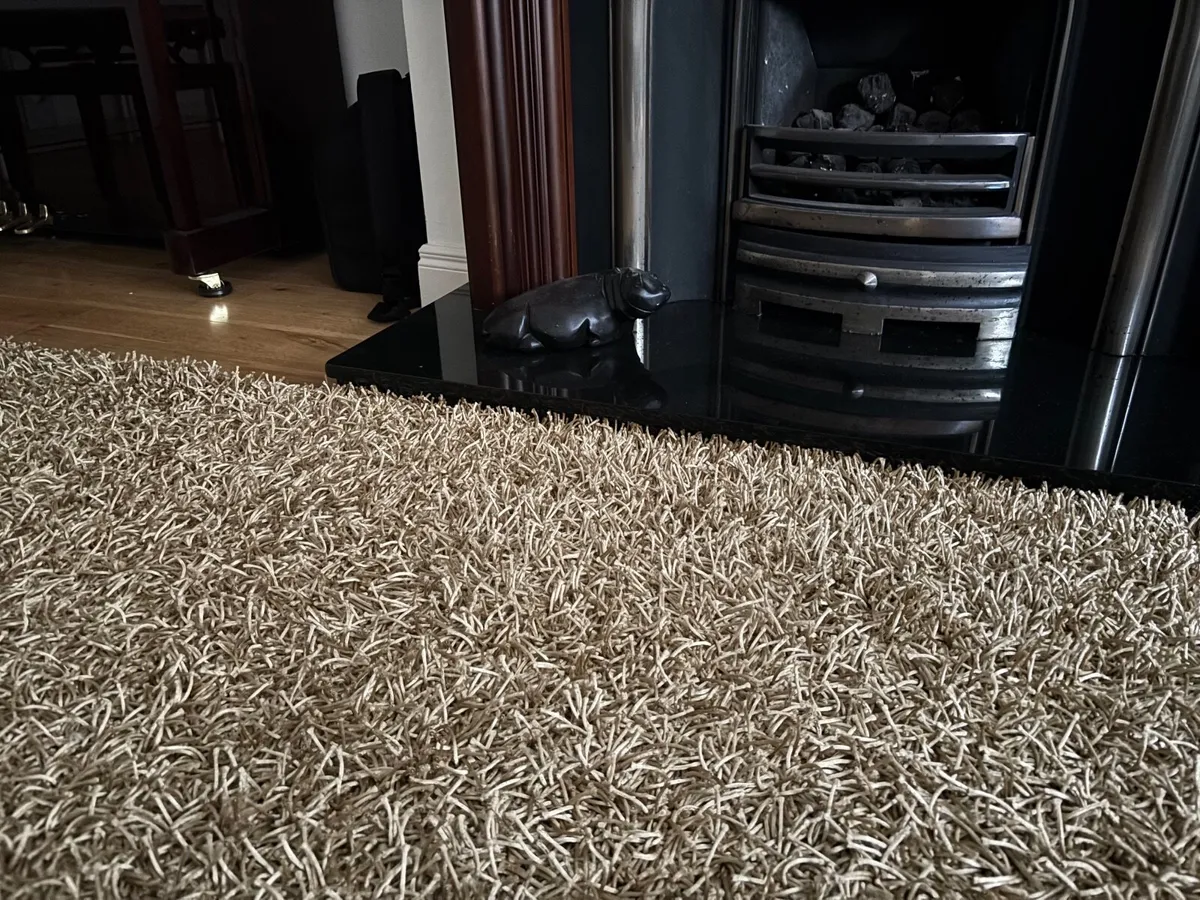 Soft Shaggy Gold Rug - Image 2
