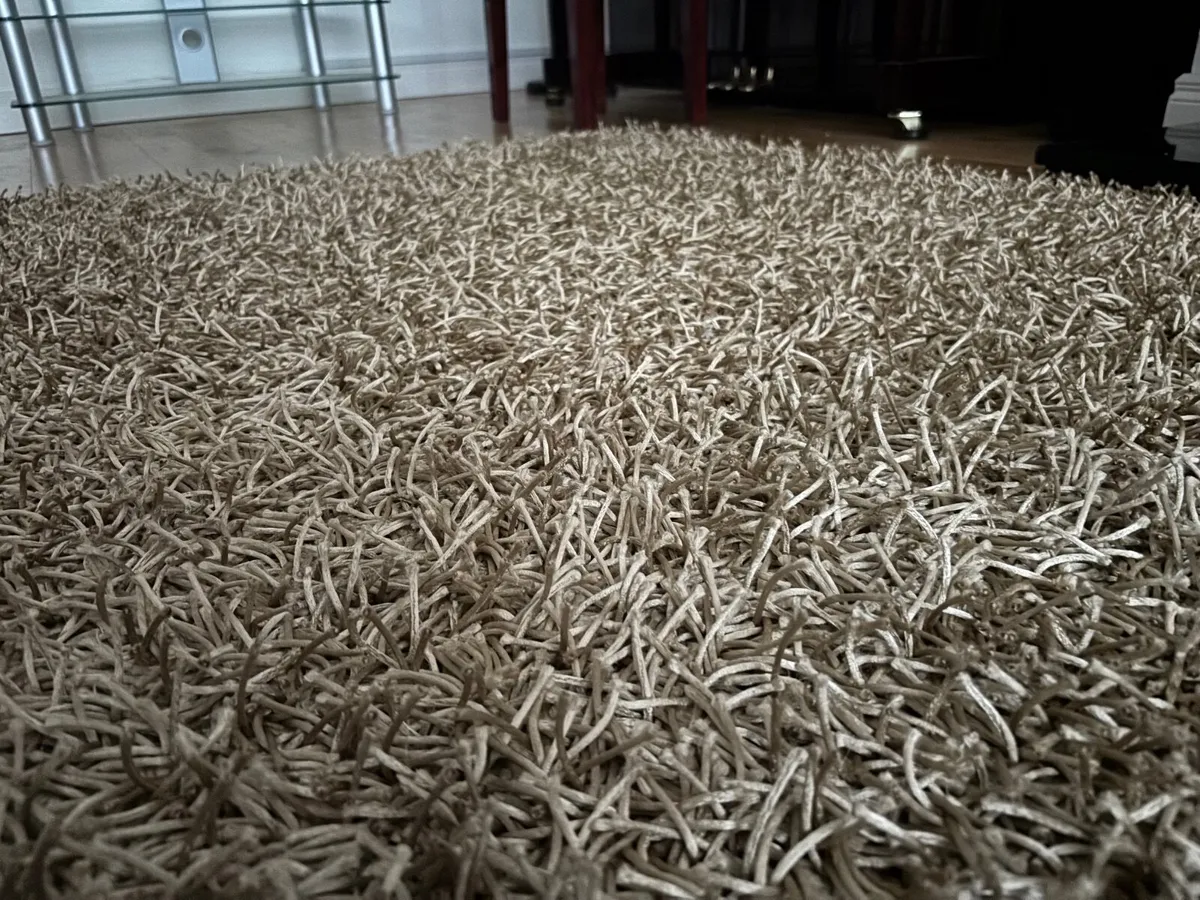 Soft Shaggy Gold Rug - Image 3