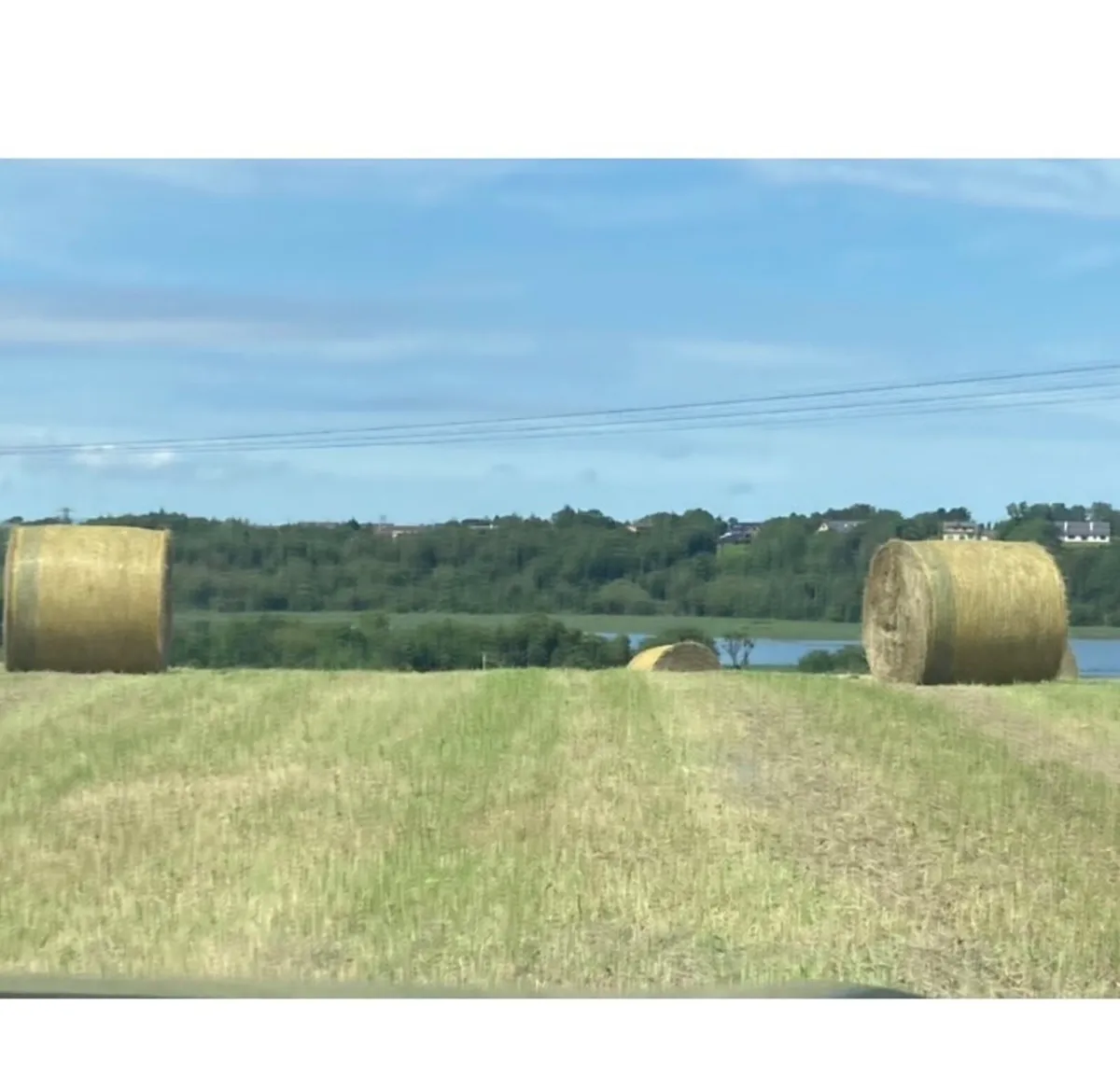 Round Bales Hay - Image 1