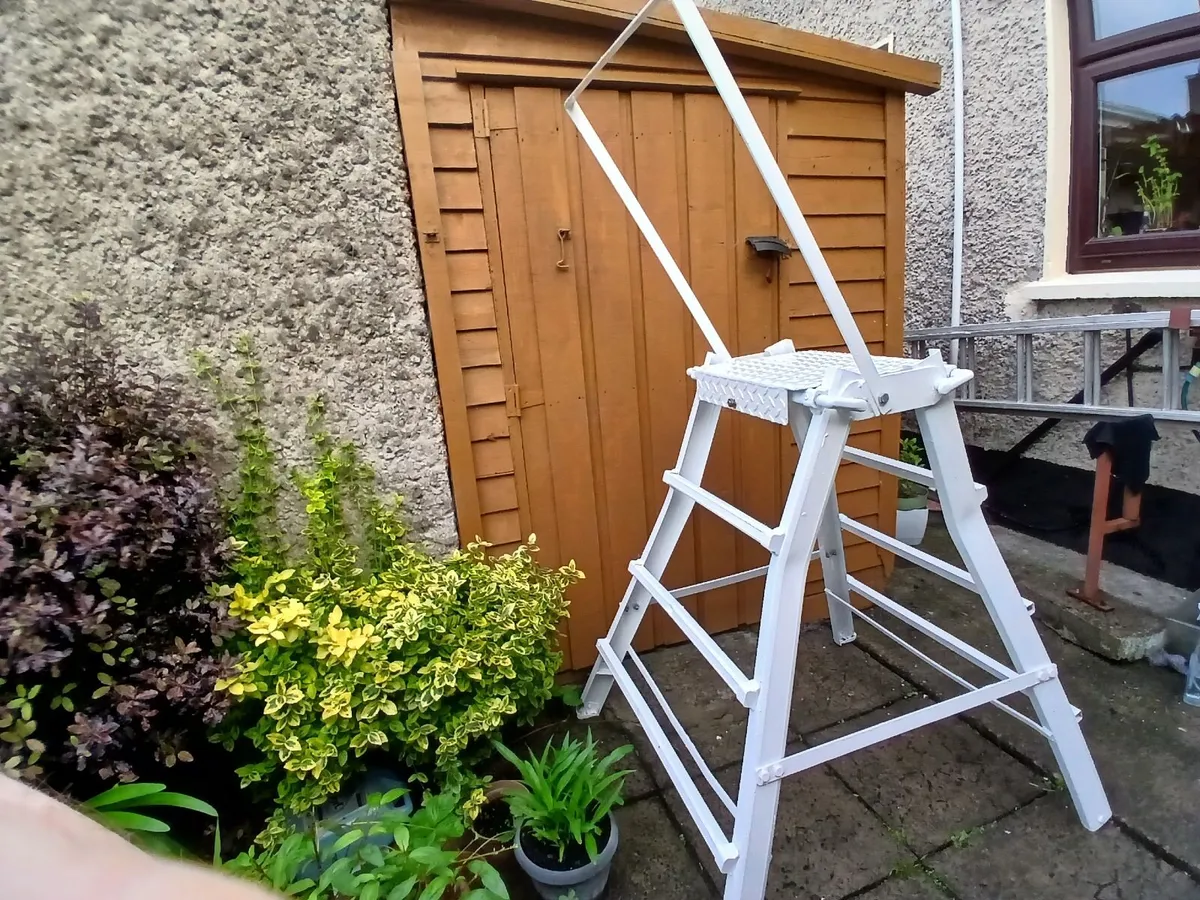 Ladder - Image 1