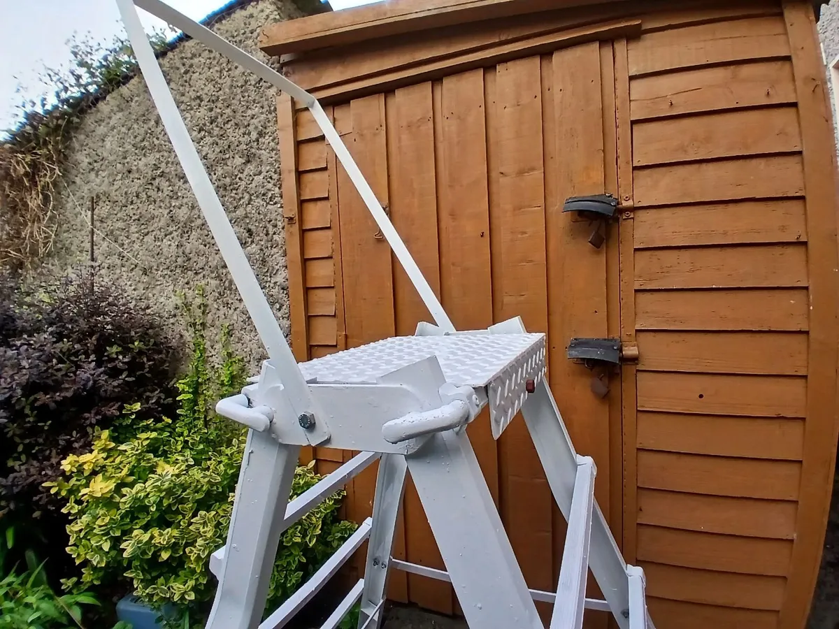 Ladder - Image 3