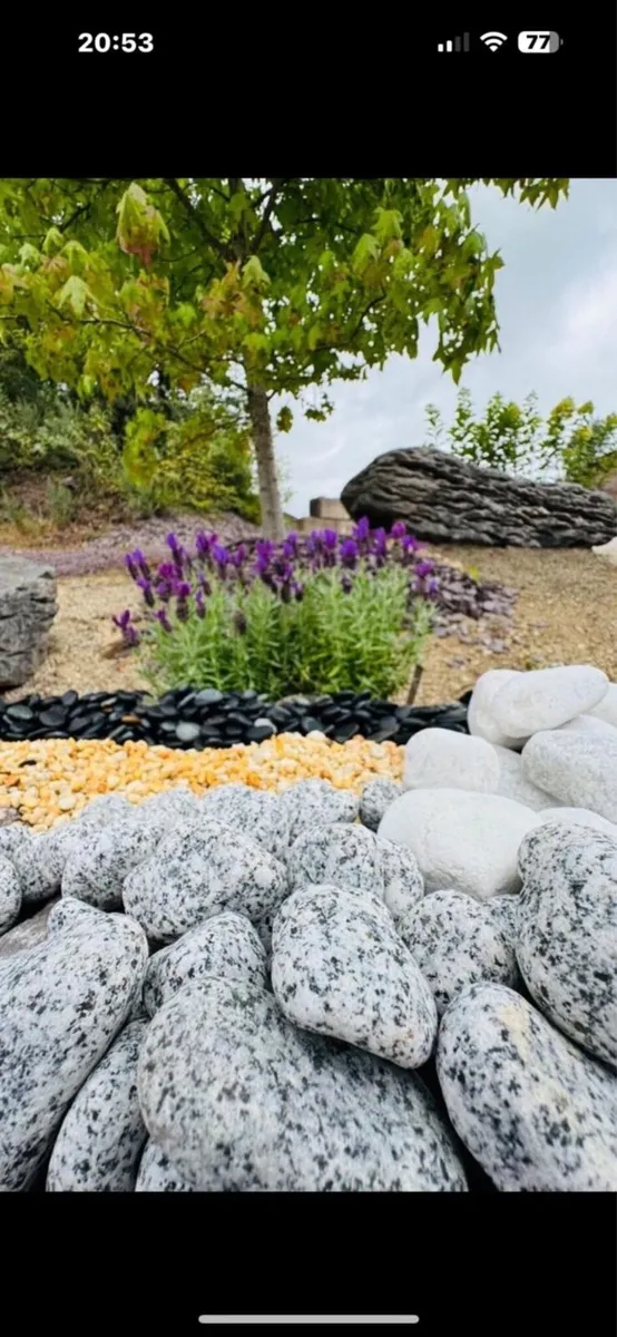 O’Neill’s Glenville Horticultural Sand-Grit - Image 1
