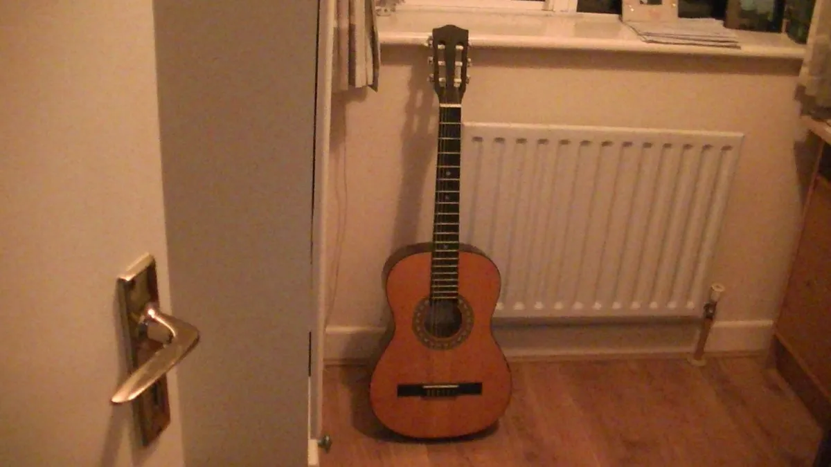 Encore Guitar - Image 1