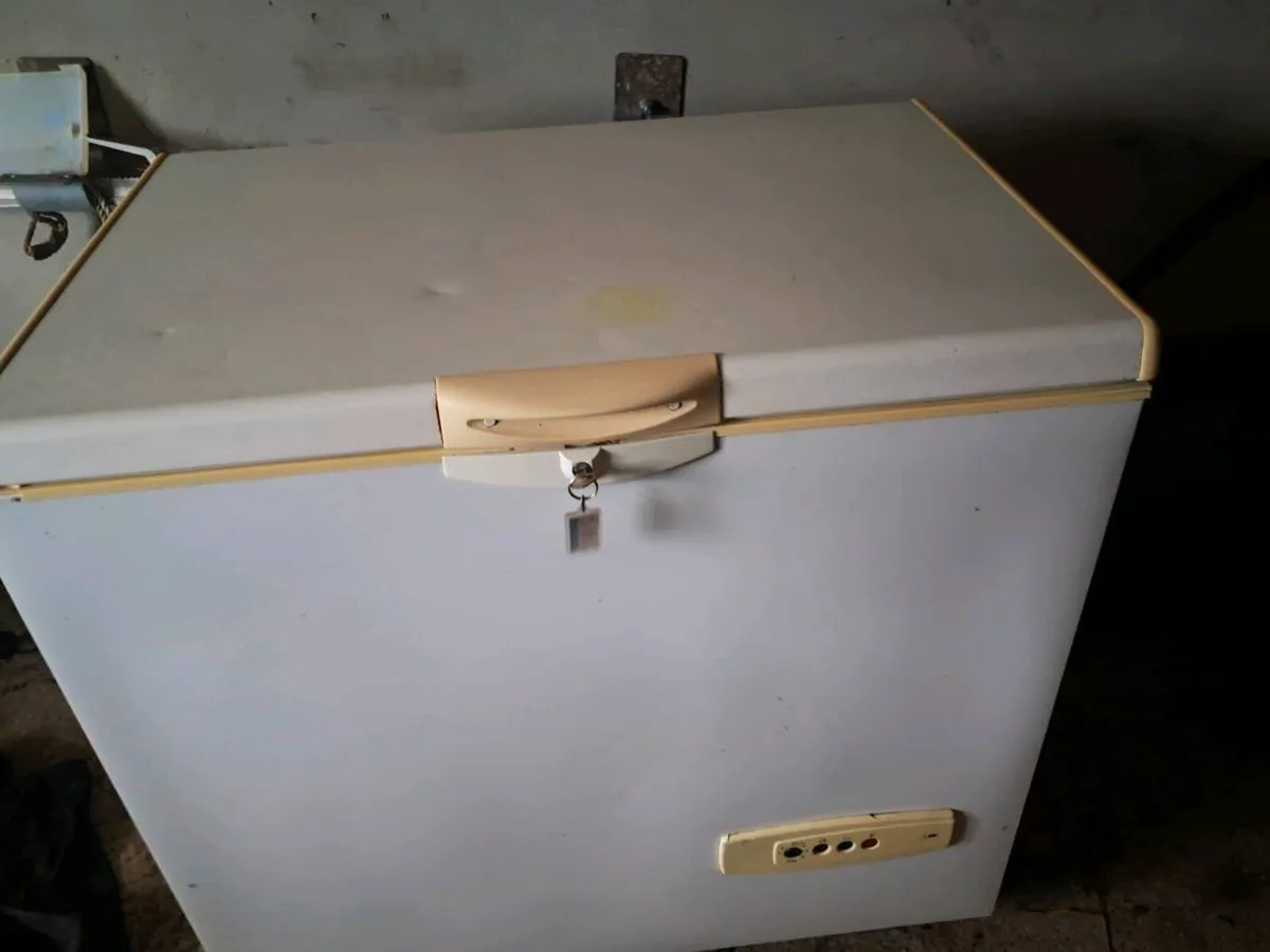 freezer - Image 4