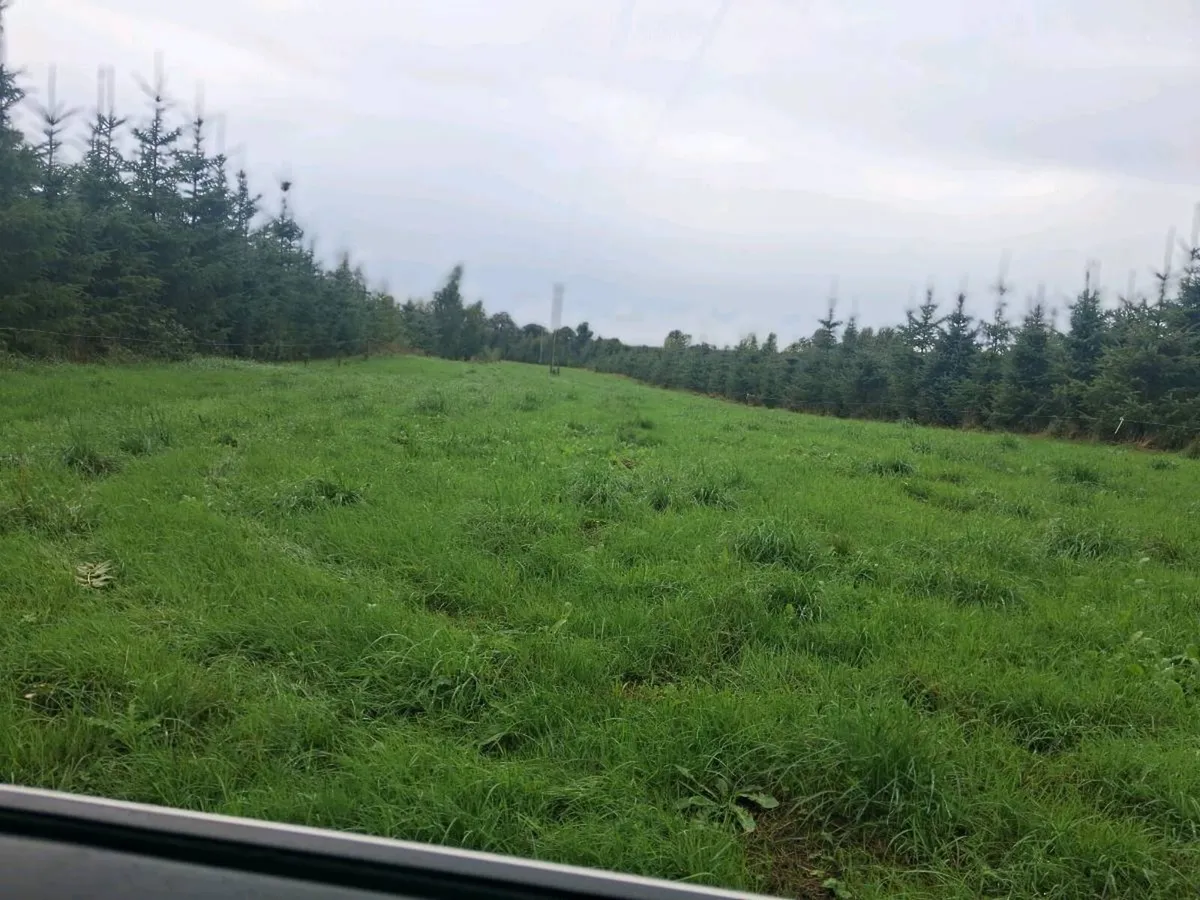 LAND TO RENT - Image 1