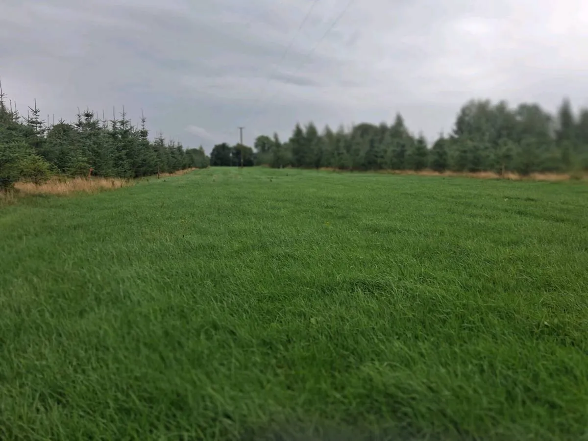 LAND TO RENT - Image 2