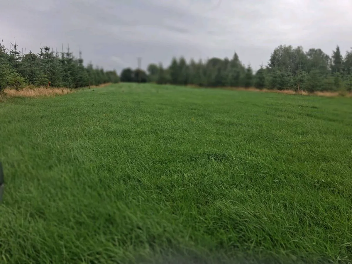 LAND TO RENT - Image 3
