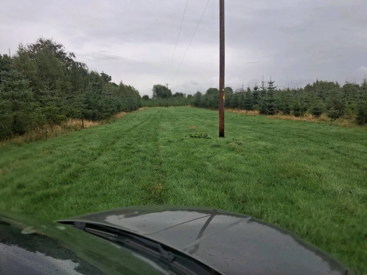 LAND TO RENT - Image 4