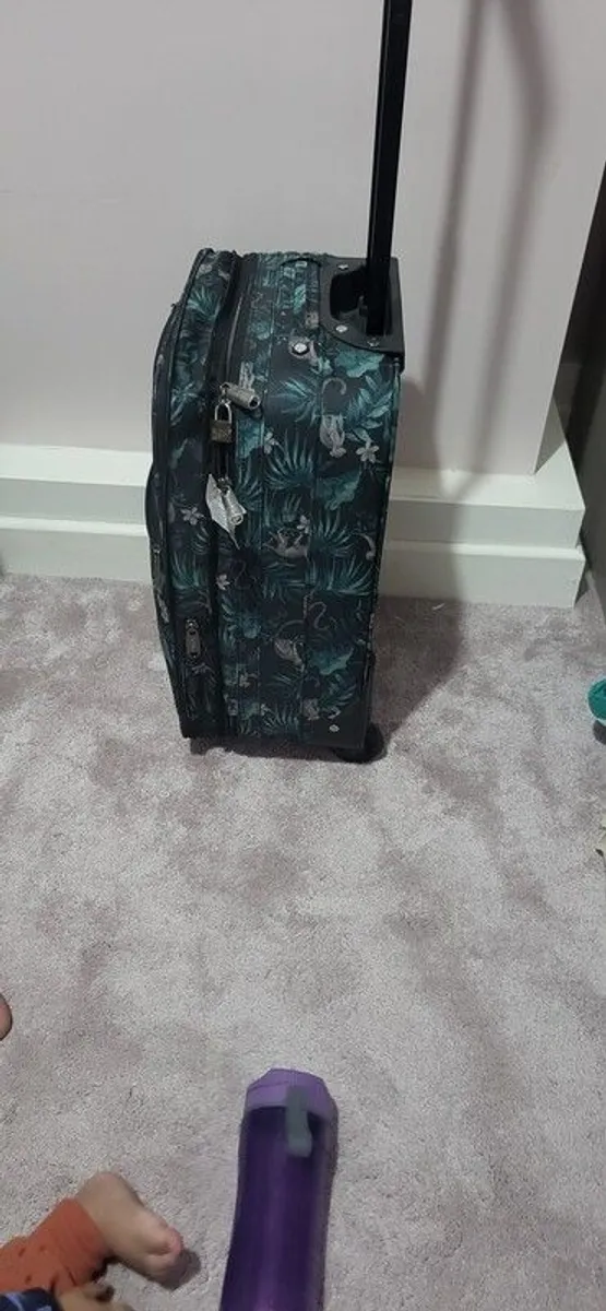 luggage - Image 3