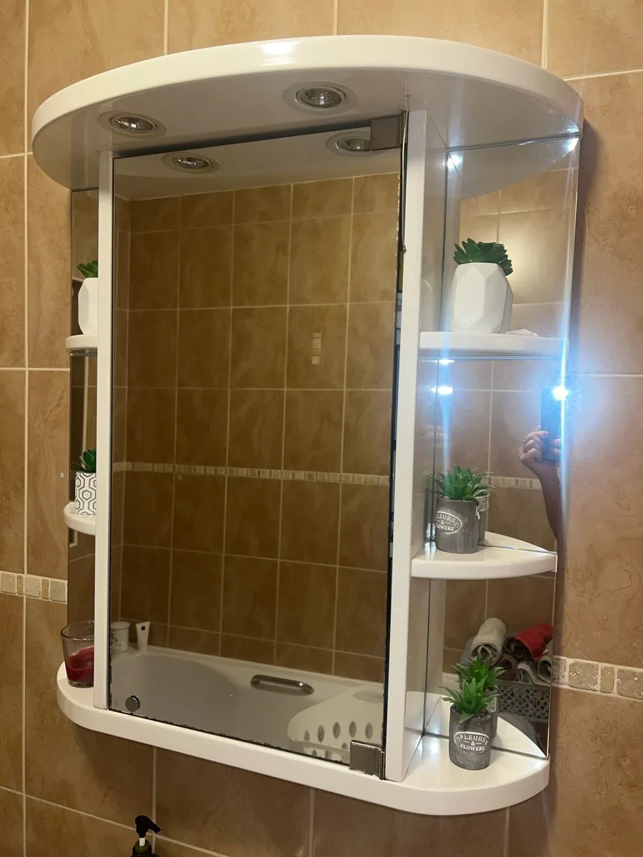 Bathroom mirror with shelving behind - Image 3