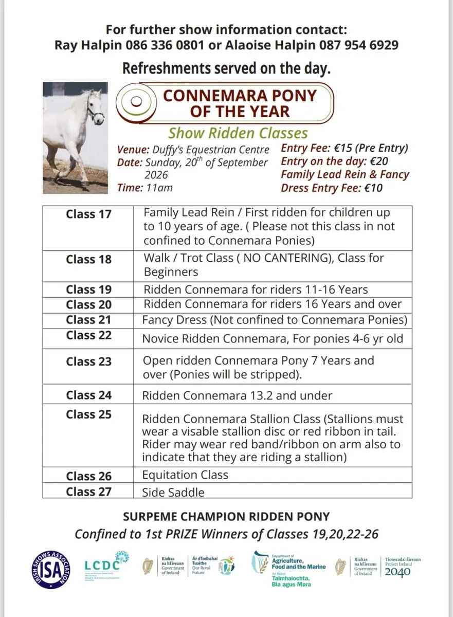 CONNEMARA PONY OF THE YEAR SHOW +DOG SHOW - Image 3
