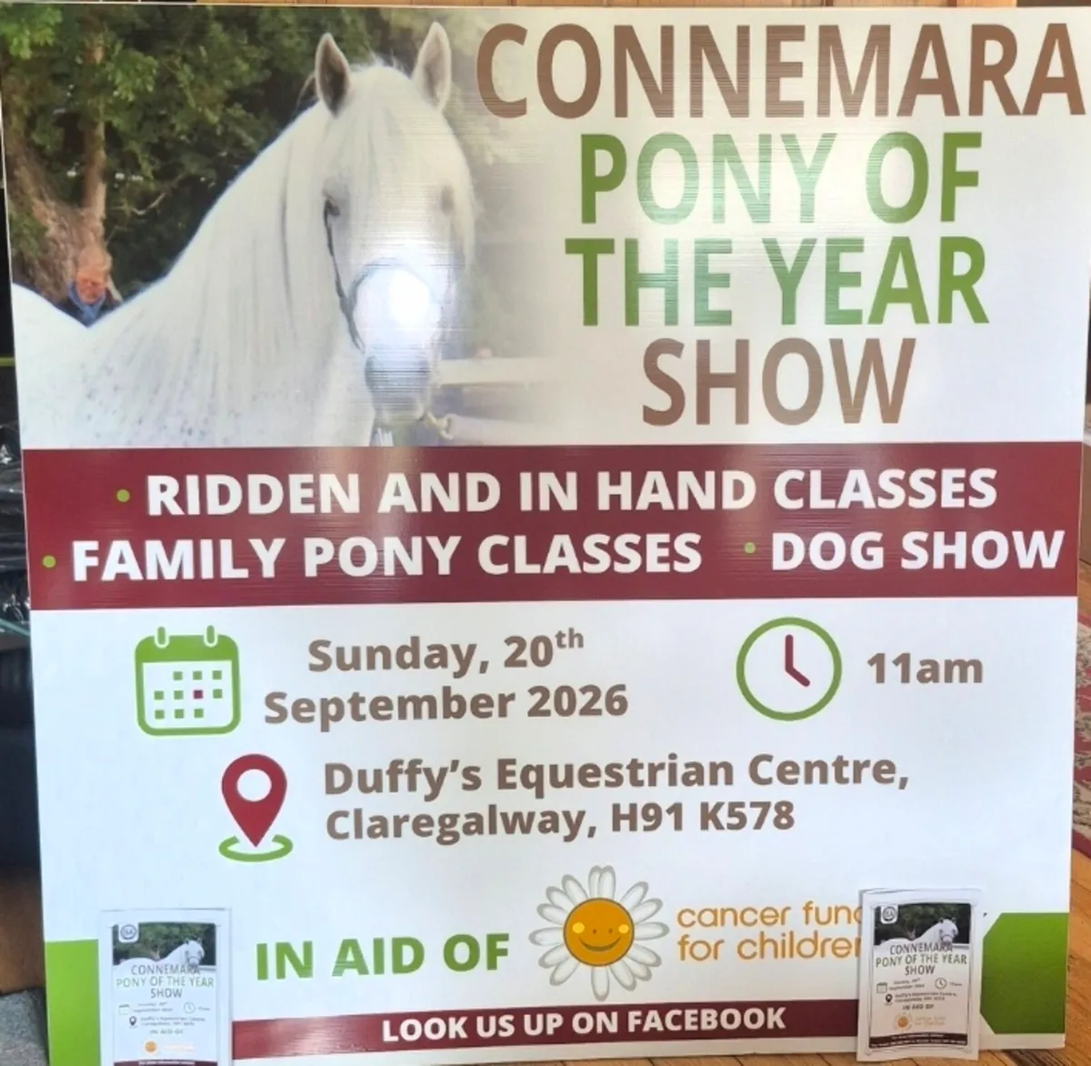 CONNEMARA PONY OF THE YEAR SHOW +DOG SHOW - Image 1