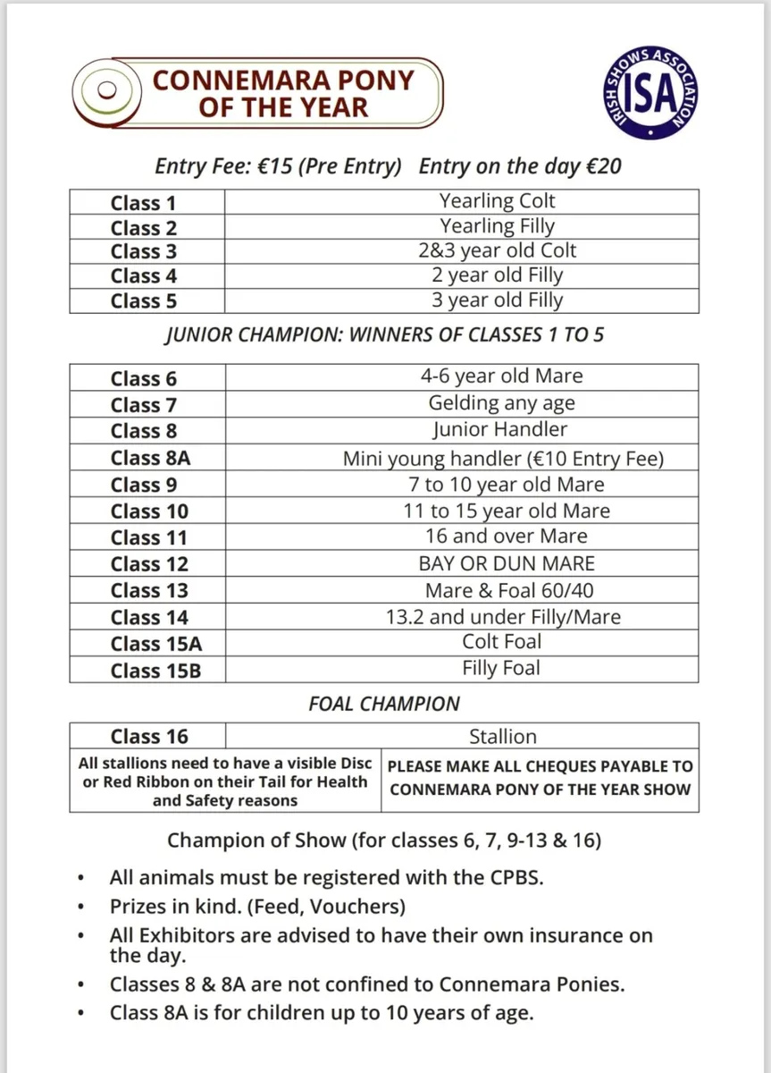 CONNEMARA PONY OF THE YEAR SHOW +DOG SHOW - Image 2