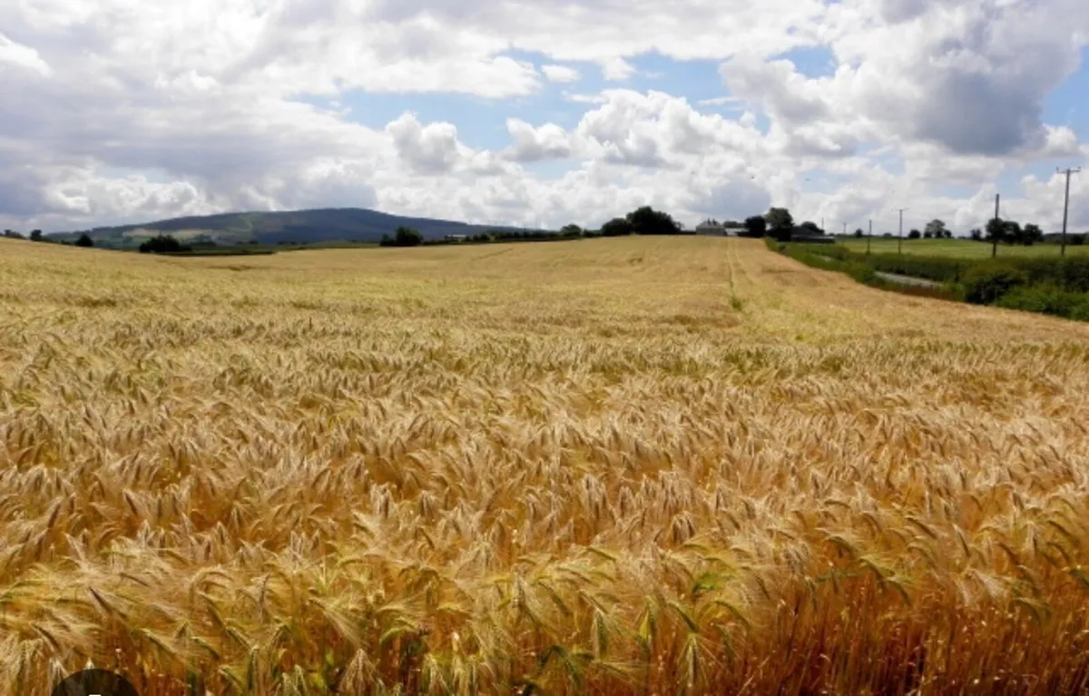 Land wanted for tillage