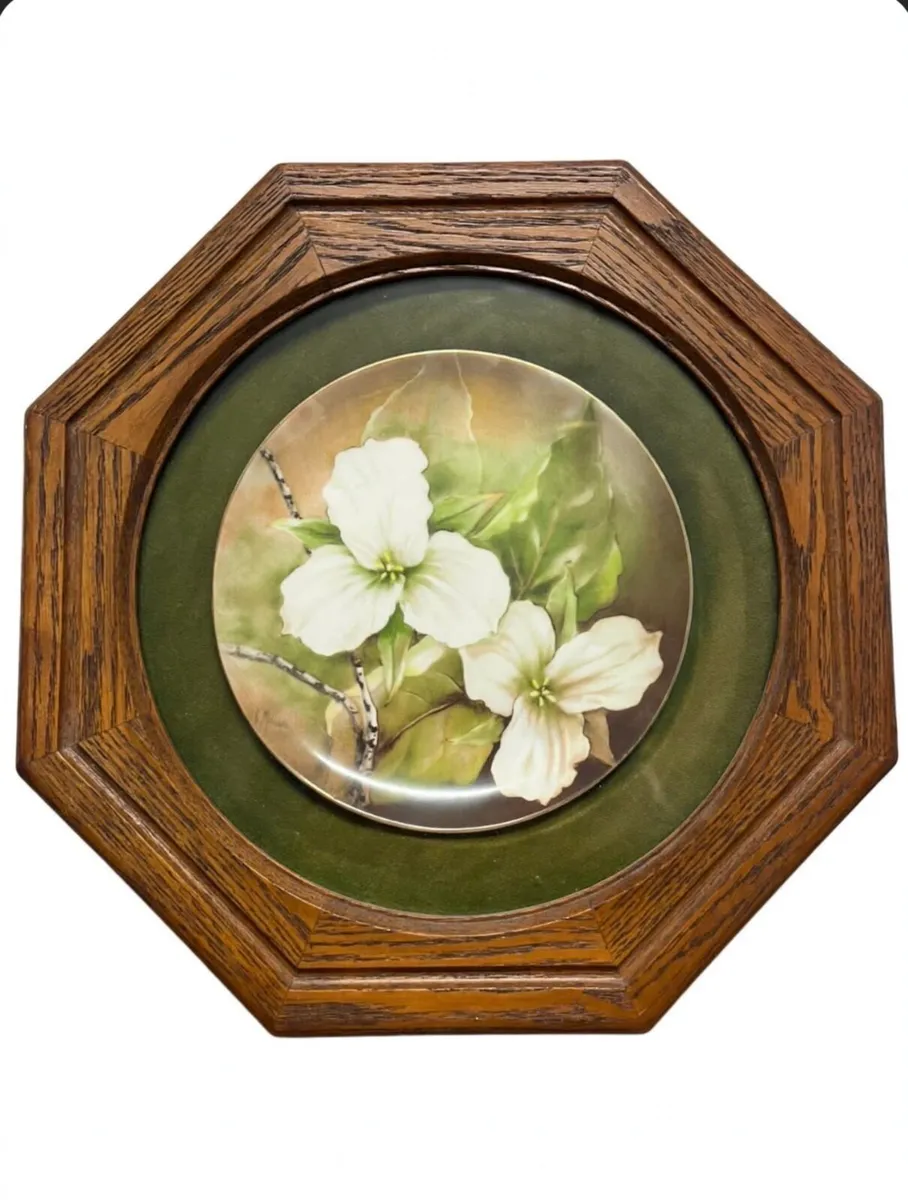 Vintage porcelain plate on oak frame behind glass - Image 1