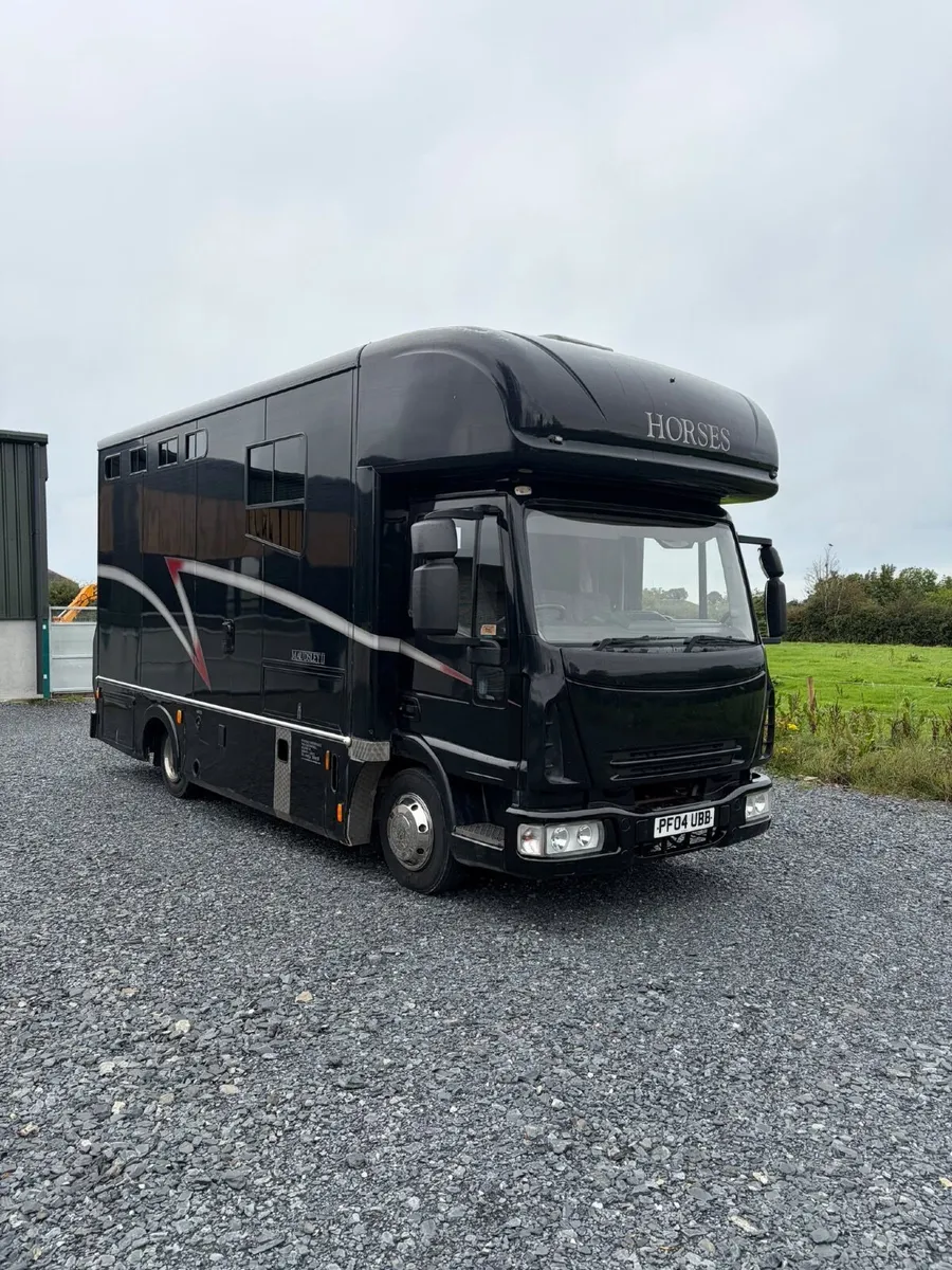 2004 horsebox - Image 2