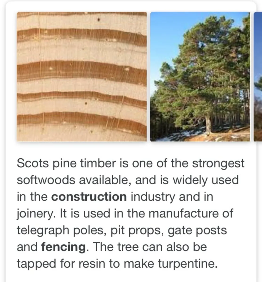 5ft 4” 1500x100mm creosote posts - Image 3