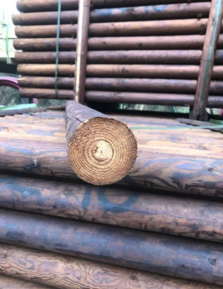 5ft 4” 1500x100mm creosote posts - Image 4