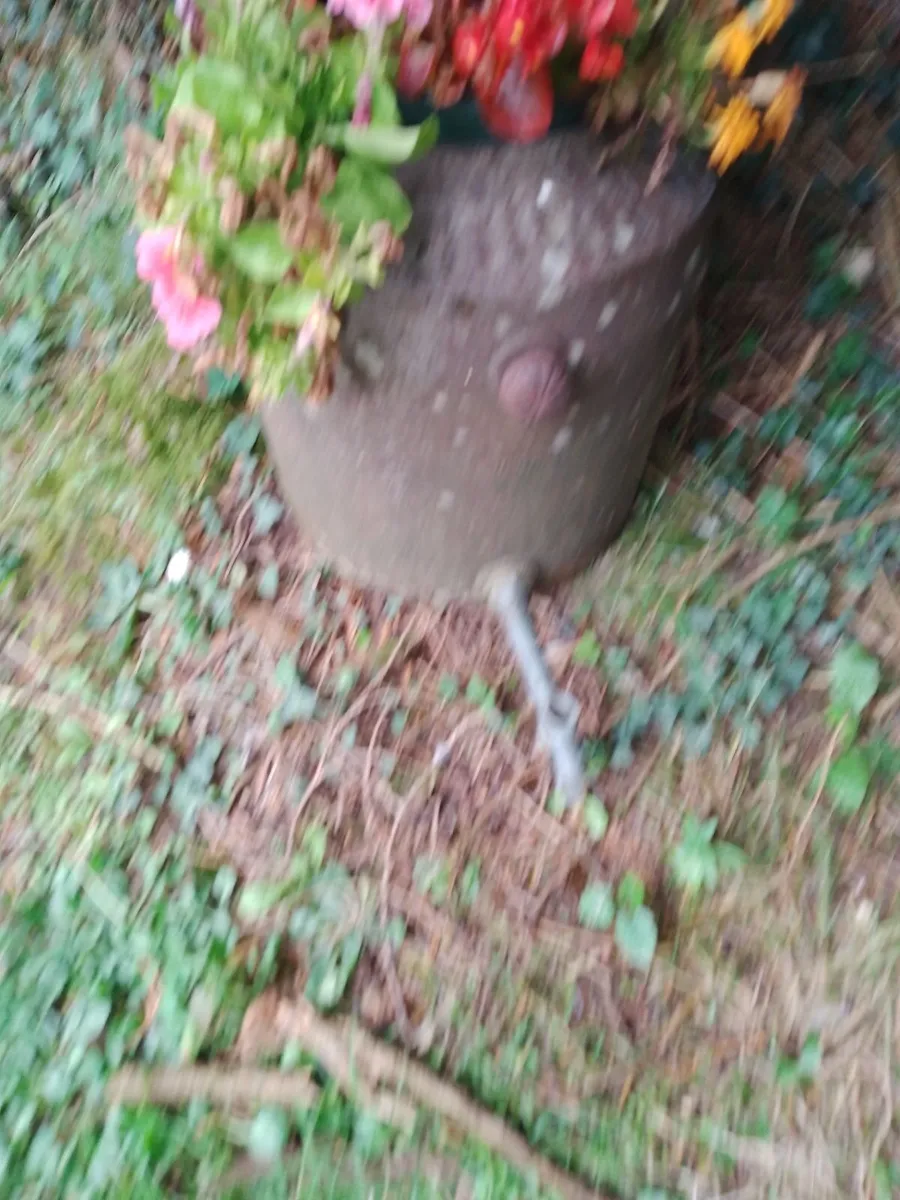 Antique brass plant pot - Image 1