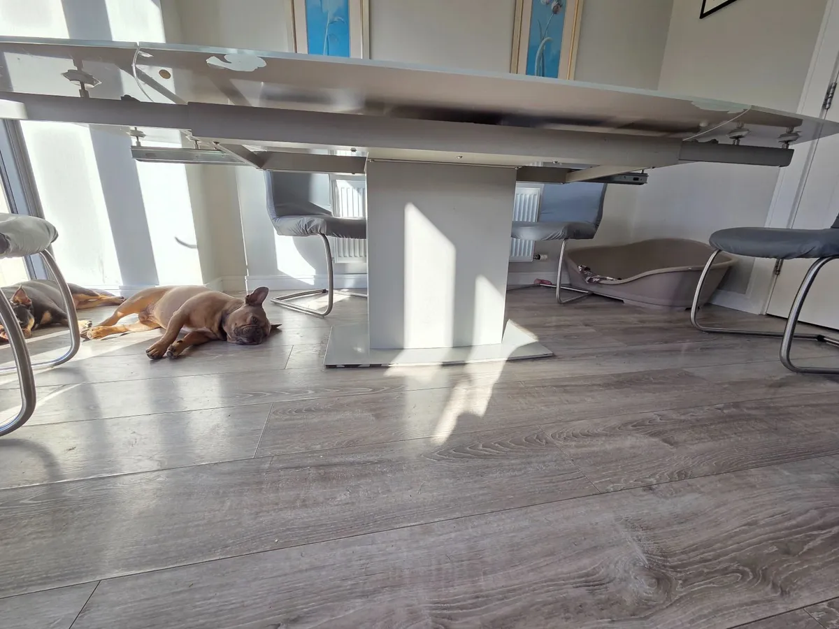 extendable dining table & 6 chairs - Image 4