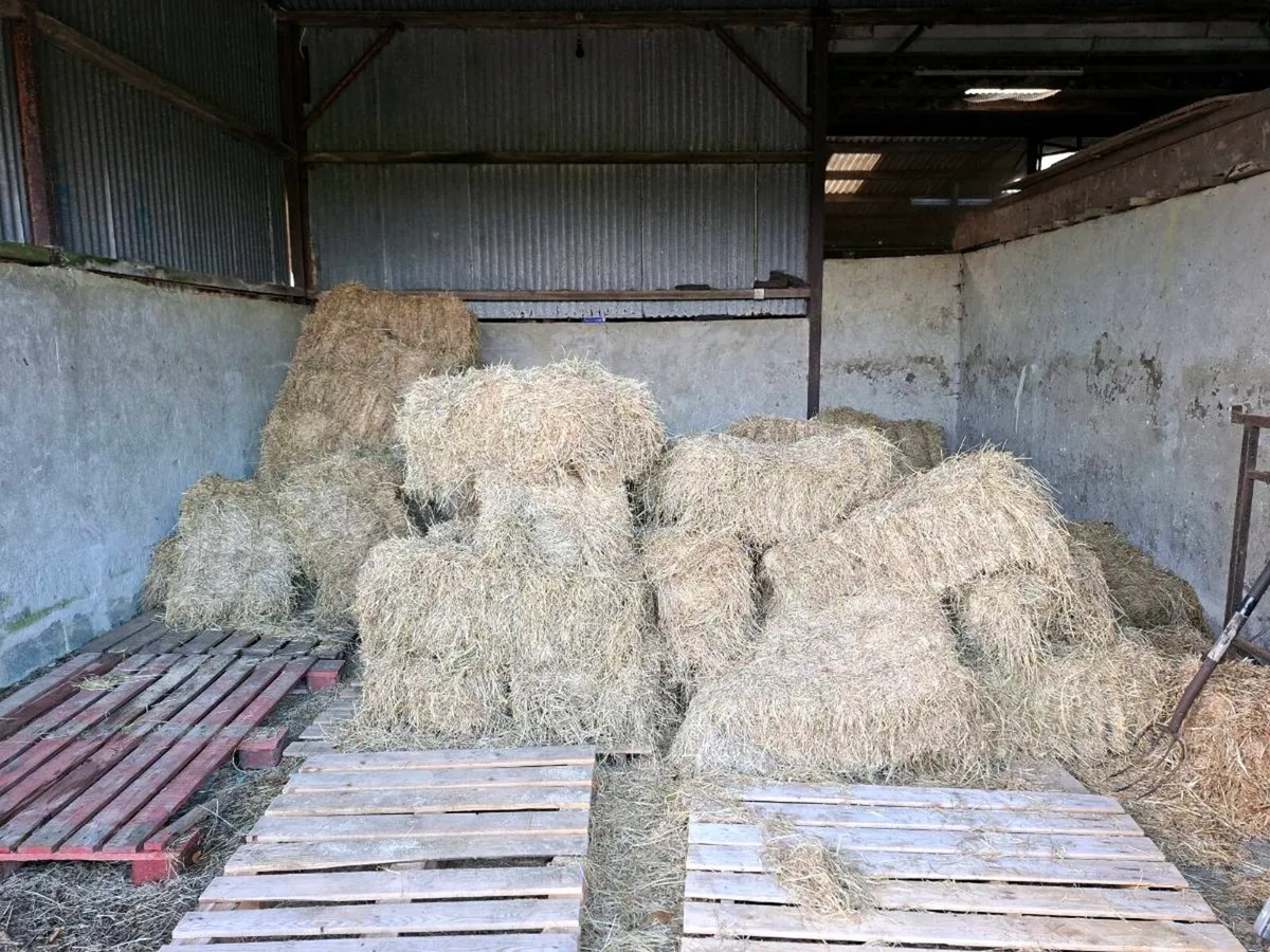 Square bales hay