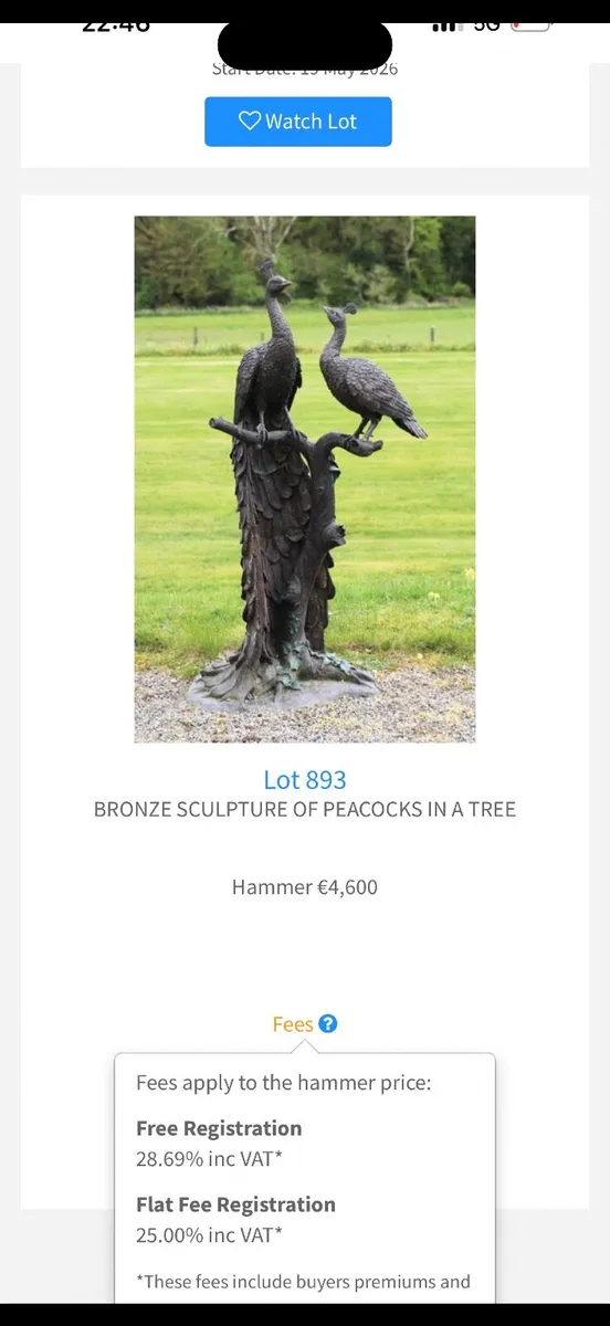 Bronze peacocks statue - Image 3