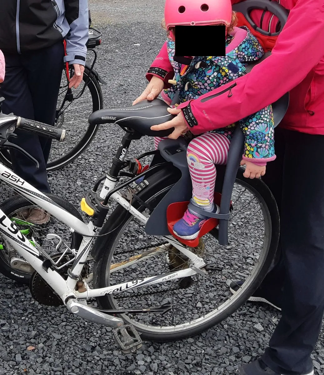 Toddler Bike Seat for adult bike - Image 2