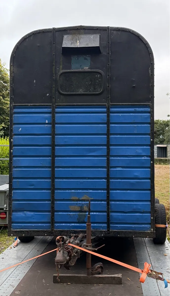 Rice horse box - Image 3