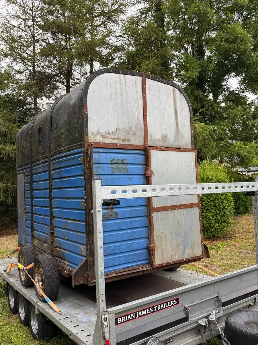 Rice horse box - Image 2