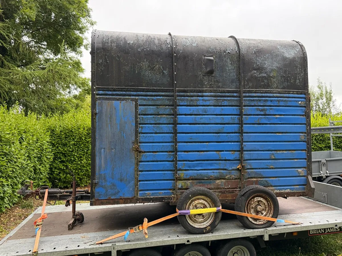 Rice horse box - Image 1