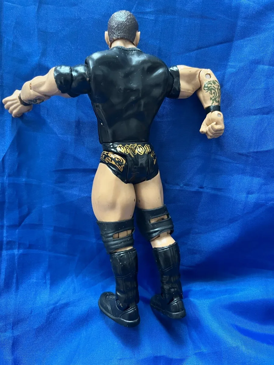 Wrestler Randy Orton - Image 2