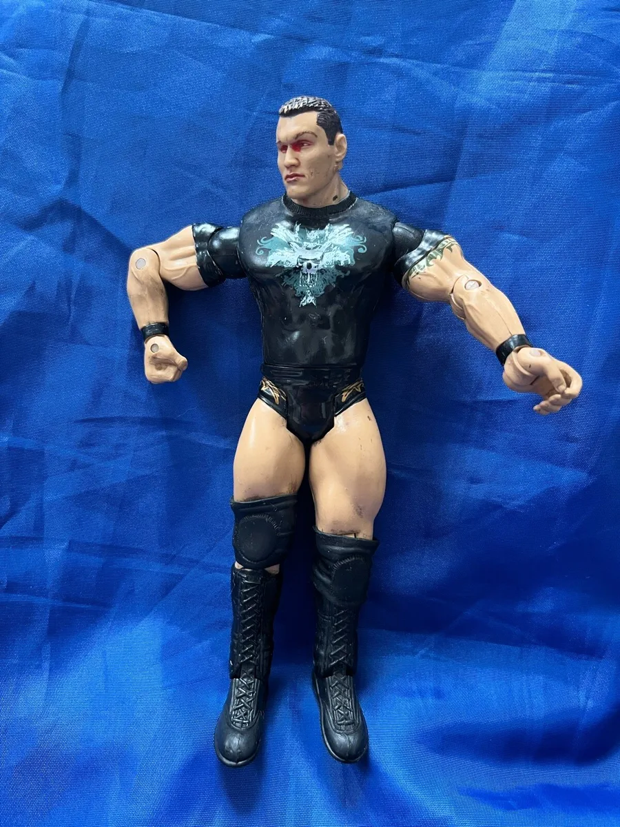 Wrestler Randy Orton - Image 1