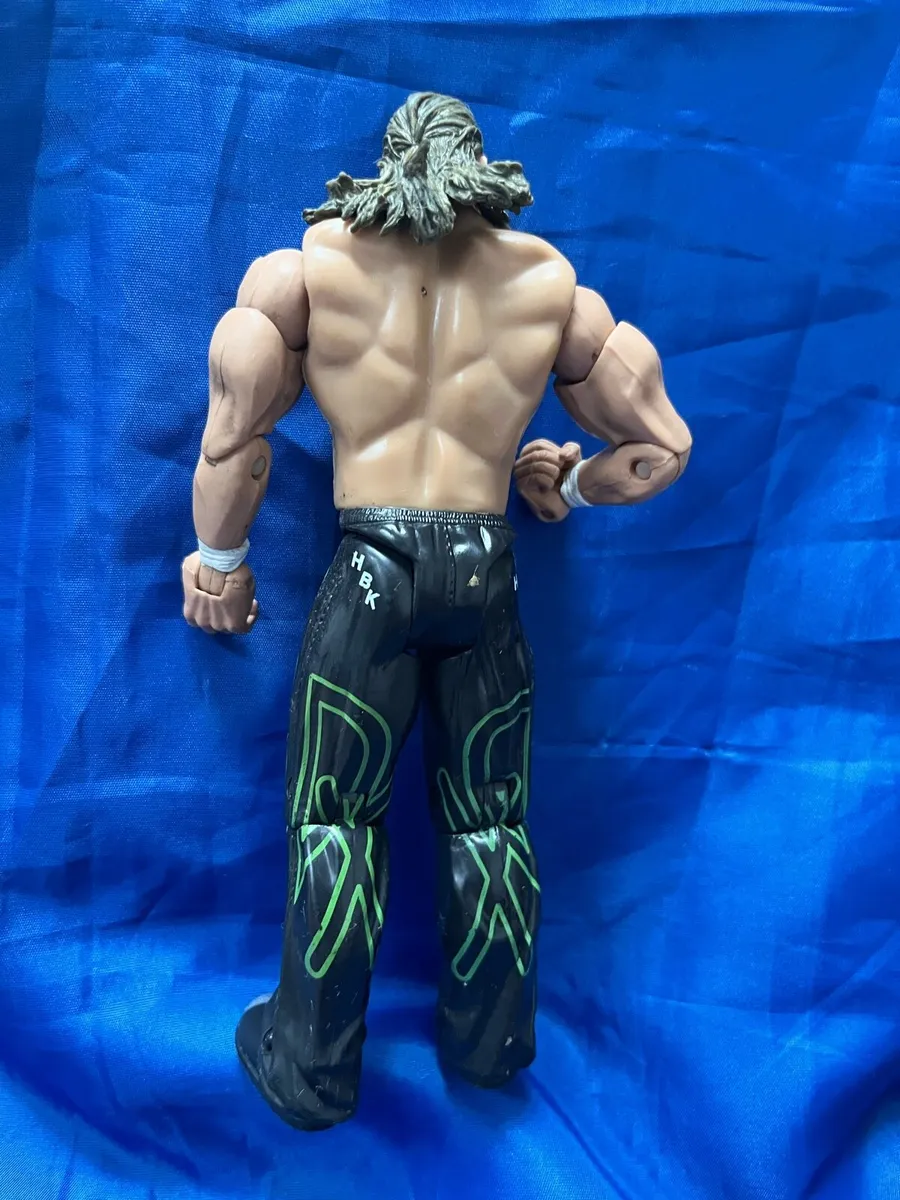 Wrestler Shawn Michaels - Image 2